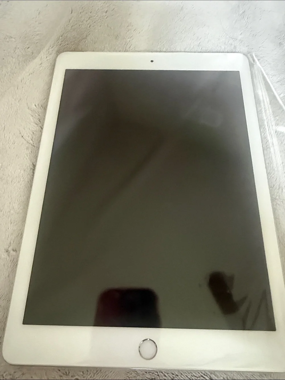 Apple iPad Silver Back Panel with Apple Logo